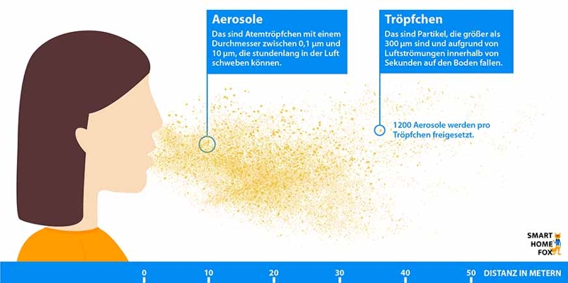 В инфографике описывается передача коронавирусов с помощью аэрозолей (респираторных капель).